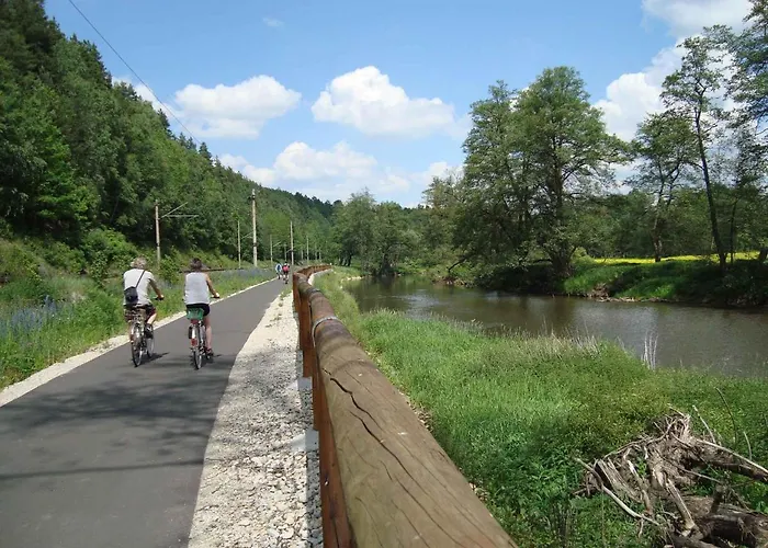 Apartment In Frantiskovy Lazne 1609 *
